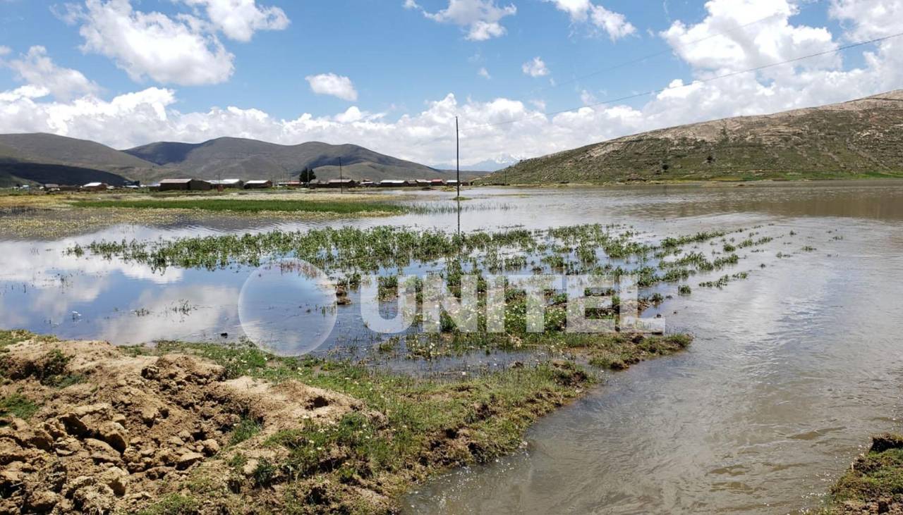 Cultivos y caminos bajo el agua en Pucarani debido a las lluvias 