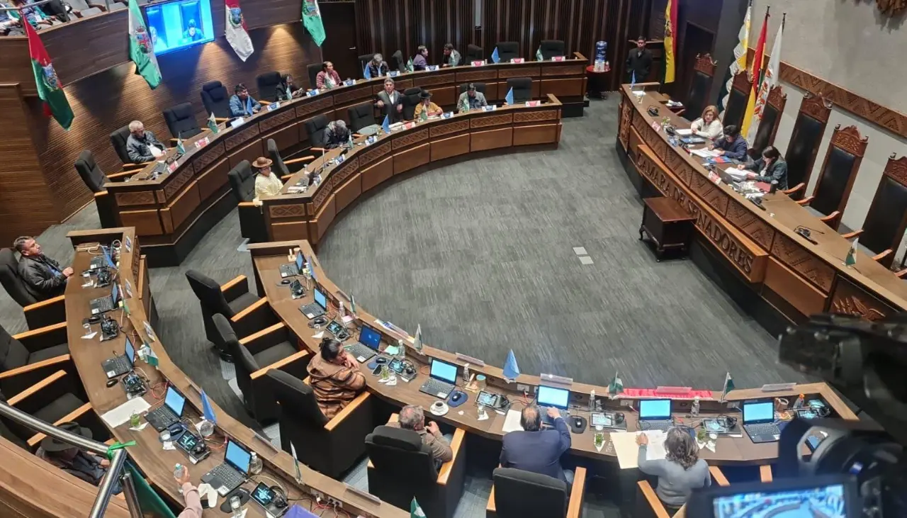 Senado adelanta sesión para este miércoles y legislador del MAS pide tratar ley para cesar a vocales electorales