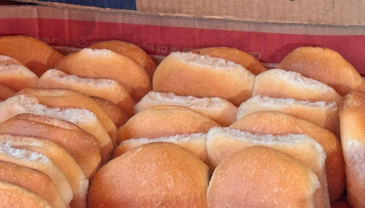 “No permitiremos especulación”: Vocera anuncia informe sobre el pan y la “millonaria corrupción” en Emapa para este martes