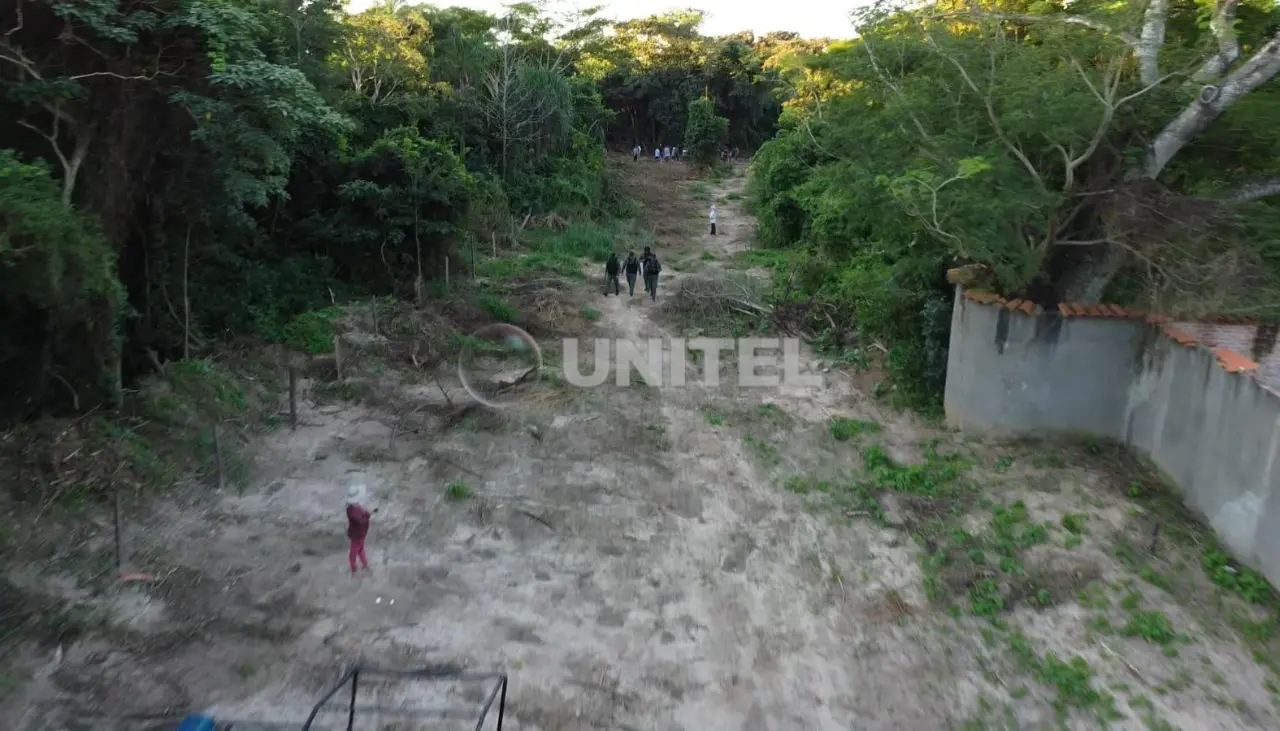 Denuncian desmonte de 10 hectáreas dentro del Cordón Ecológico