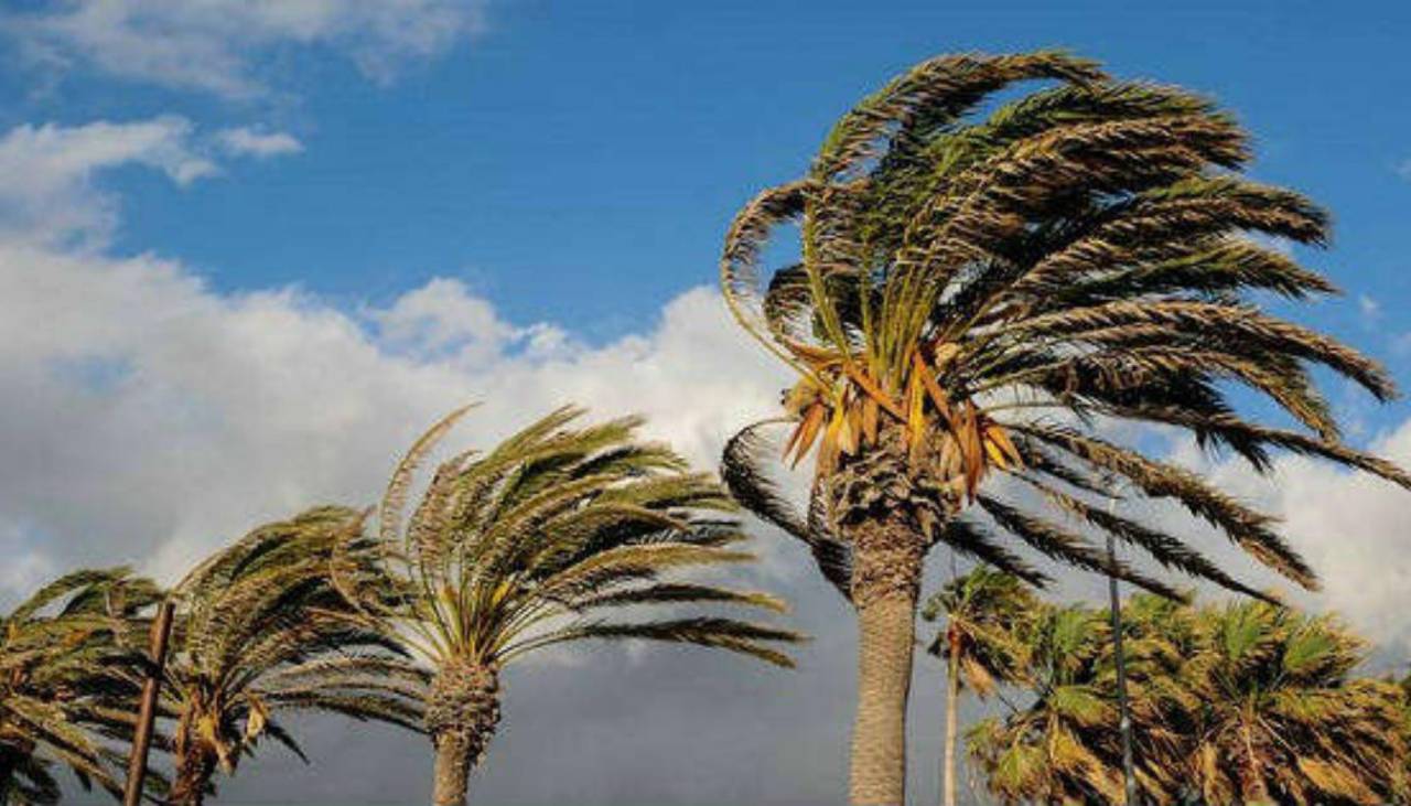 Santa Cruz: Vientos superarán los 90 km/h en el inicio de la semana