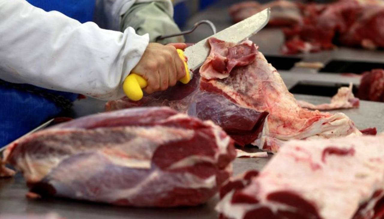Paraguay abre su mercado a la carne bovina boliviana, confirma el Senasag