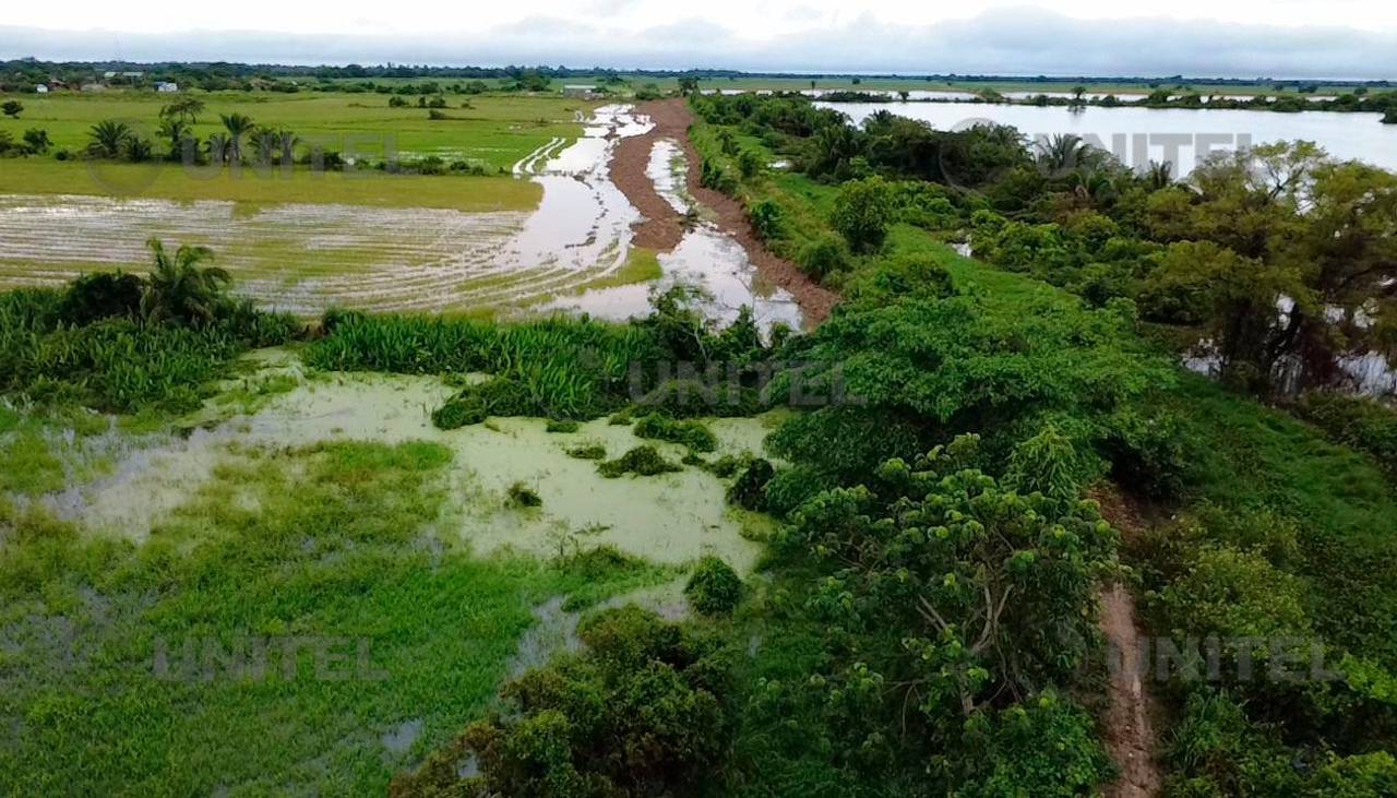 Inundaciones en el norte de Santa Cruz: Pobladores señalan que el agua ingresó a viviendas y que se perdieron cultivos