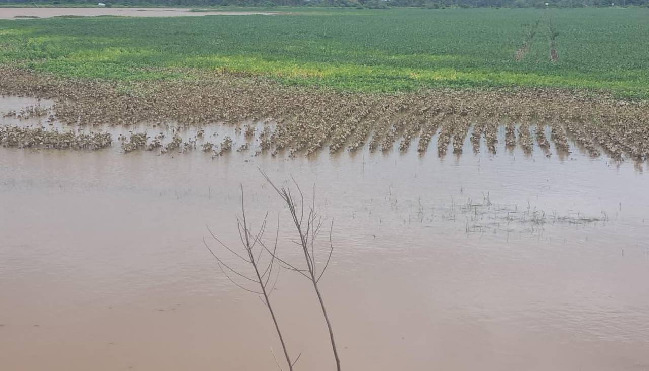 Cinco comunidades del norte cruceño en riesgo de quedar bajo el agua por constantes lluvias