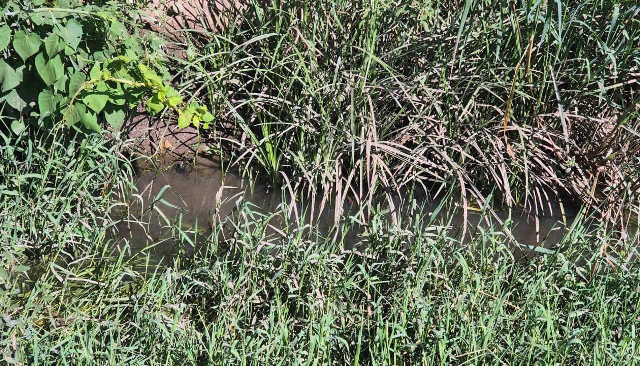 Vecinos de la capital cruceña piden a la Alcaldía la limpieza de canales de drenajes y áreas verdes 