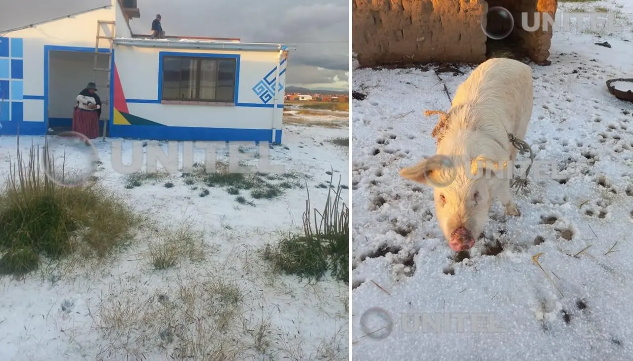 Granizada causa estragos en cuatro zonas rurales de El Alto