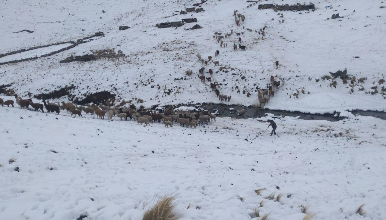 Colomi, Sacaba y Tiraque son los más afectados por la nevada y lluvias en Cochabamba, señala la Gobernación 
