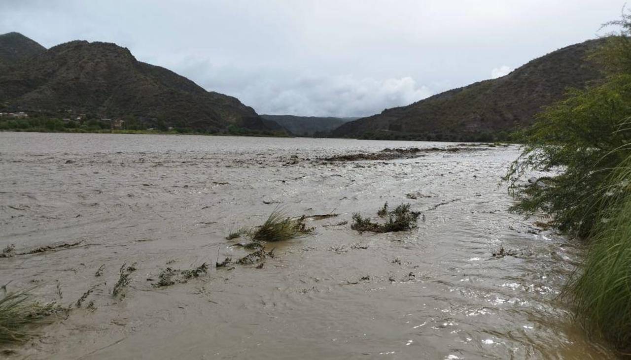 40 cabezas de ganado mueren arrastradas por una riada en Potosí