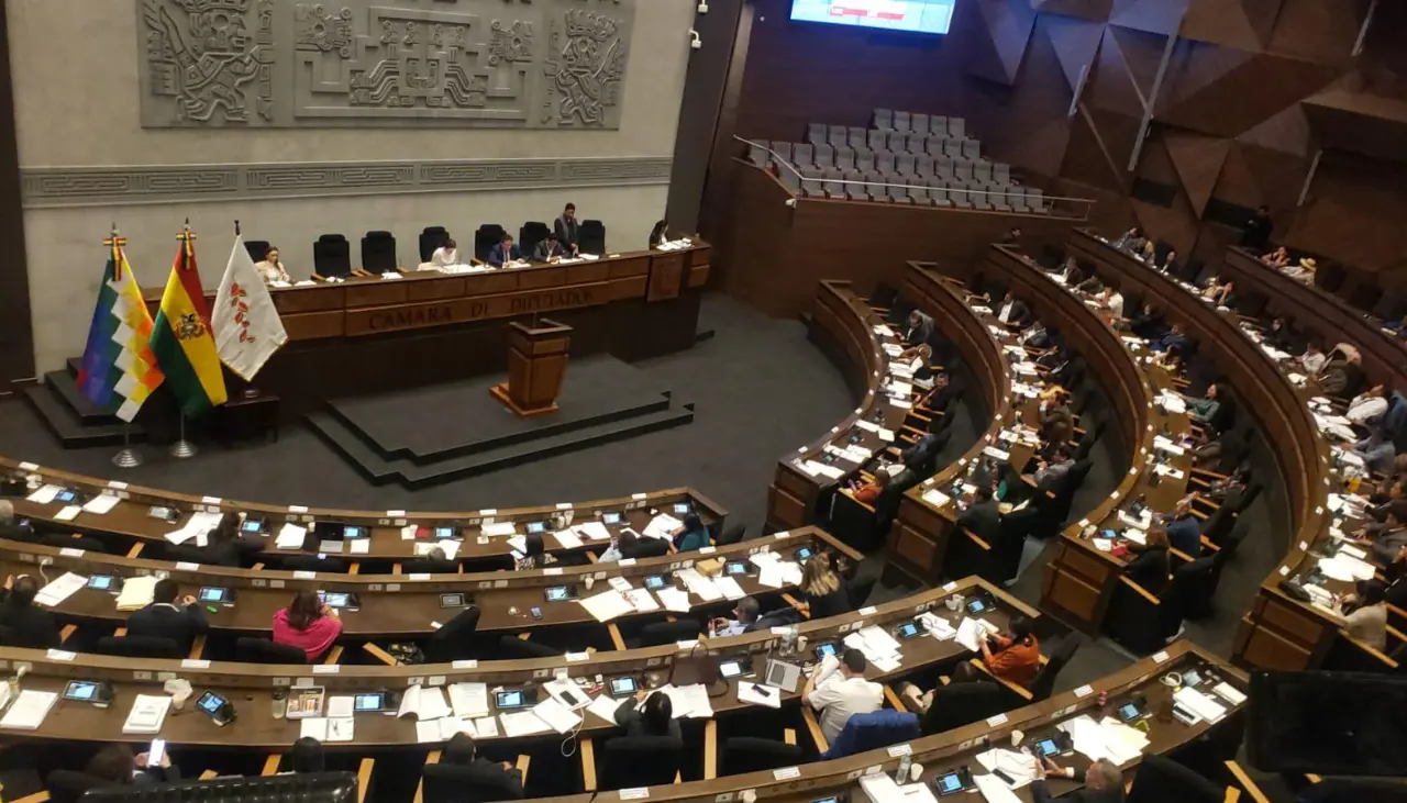 Cámara de Diputados aprueba en grande y en detalle el crédito de $us 100 millones de Japón