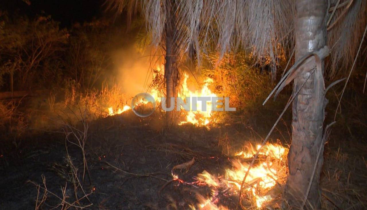Incendio afecta al área de una urbanización y un predio de la Policía Montada