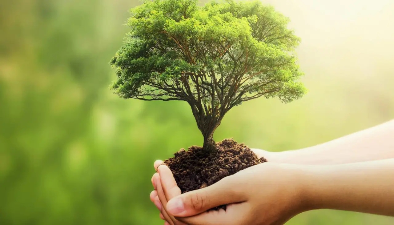 “Hay que reflexionar sobre el lugar donde vivimos”: Este 5 de junio se conmemora el Día Mundial del Medio Ambiente