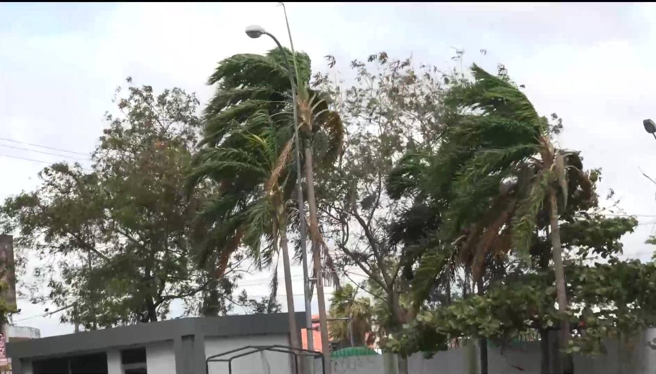 Senamhi emite alerta para cinco departamentos por fuertes vientos