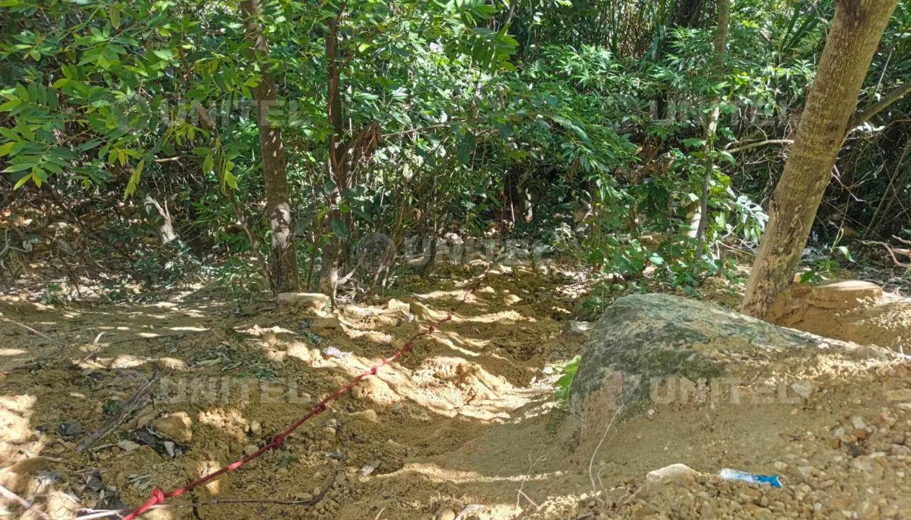 Encuentran la cabeza de la mujer apuñalada y carbonizada en El Torno
