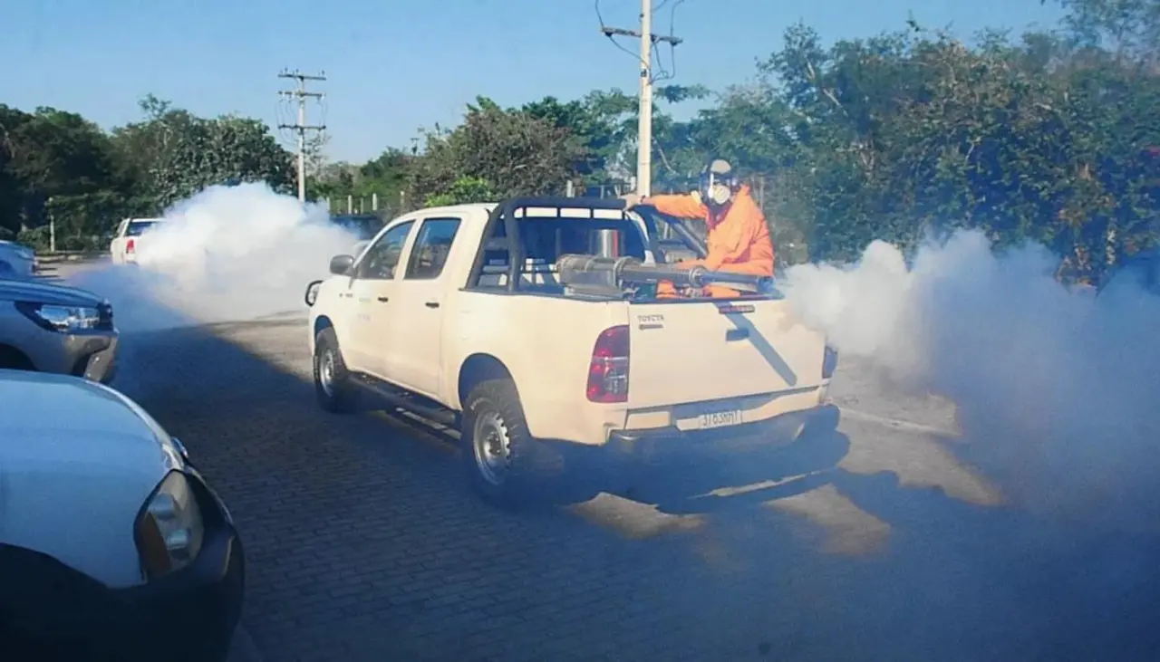 Sedes cruceño alerta que en esta época hay presencia de dos tipos de mosquitos que contagian cuatro enfermedades