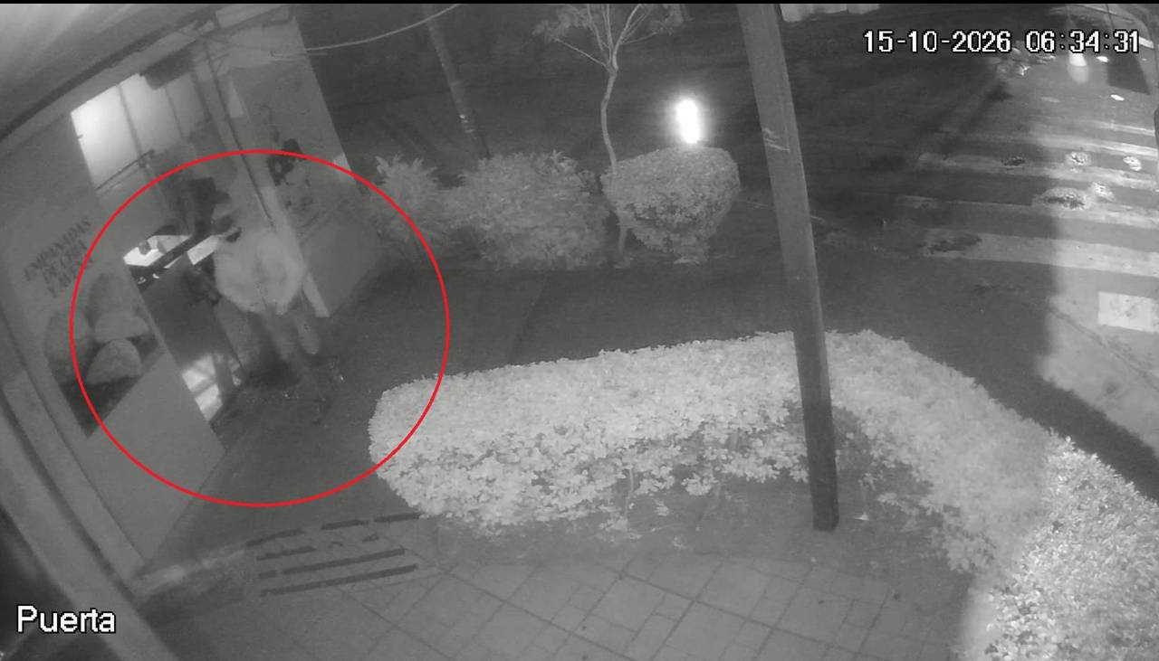 Video: Un delicuente rompió el vidrio y robó en una panadería en Santa Cruz