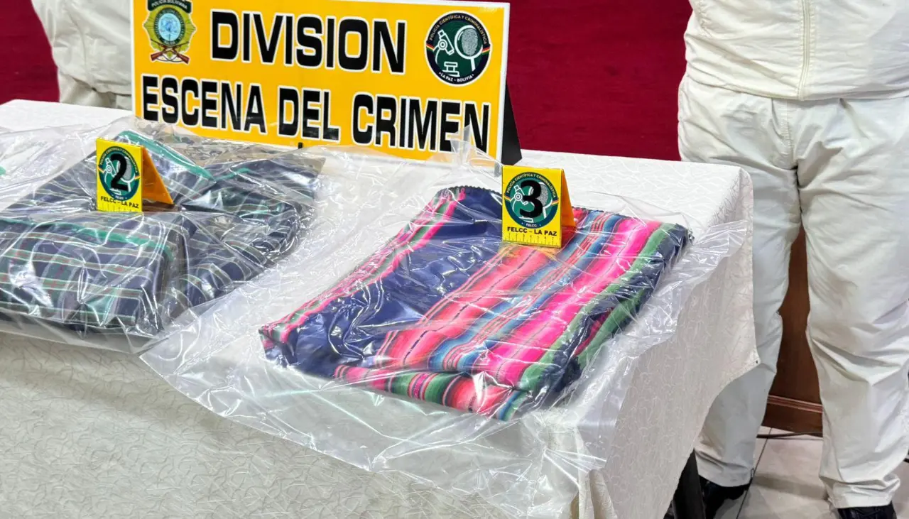 Ministro confirma que la mamá de Demian fue víctimada y que el cuerpo fue lanzado a un contenedor de basura