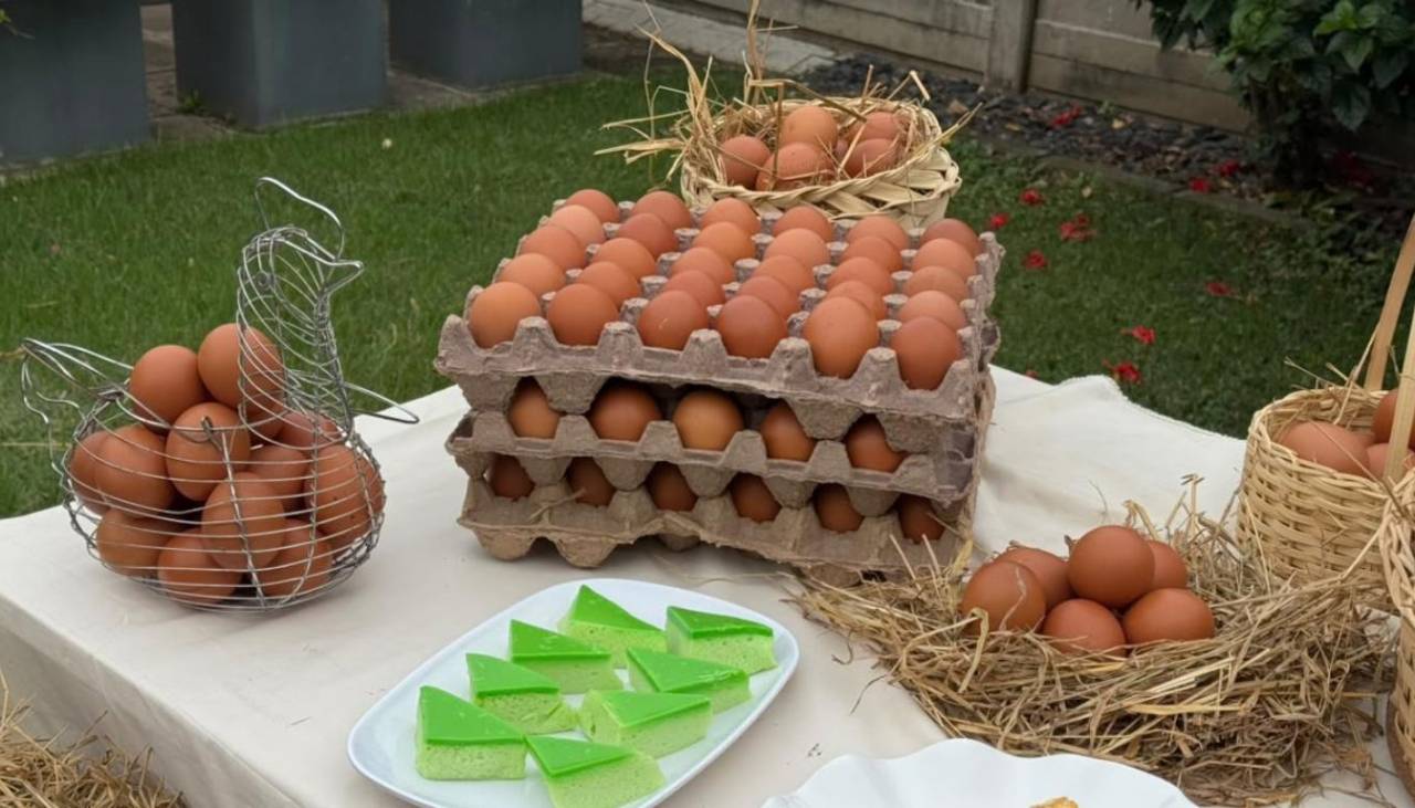 Día Mundial del Huevo: celebra 30 años como protagonista de la alimentación 