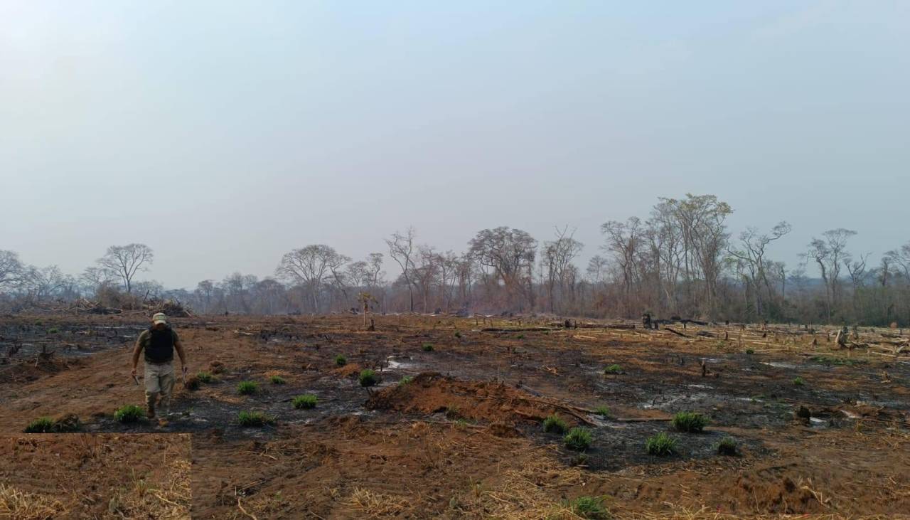 Envían a la cárcel de manera preventiva a tres acusados de causar incendios en la Chiquitania