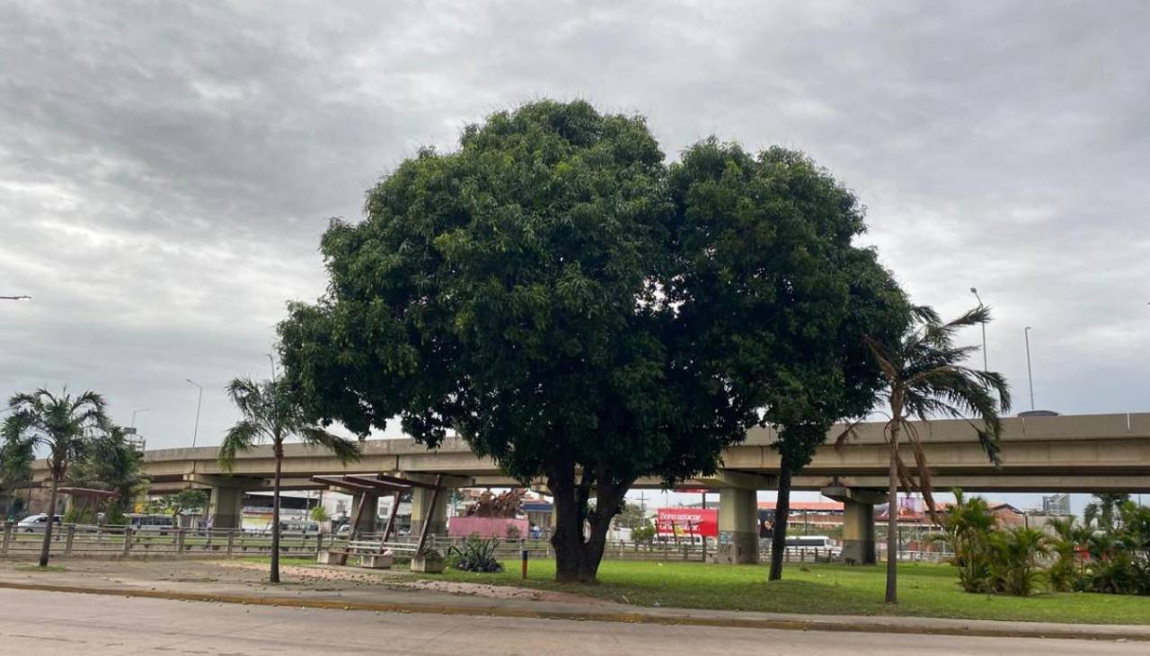 Fuertes vientos y temperaturas bajas marcan la jornada de este domingo en Santa Cruz