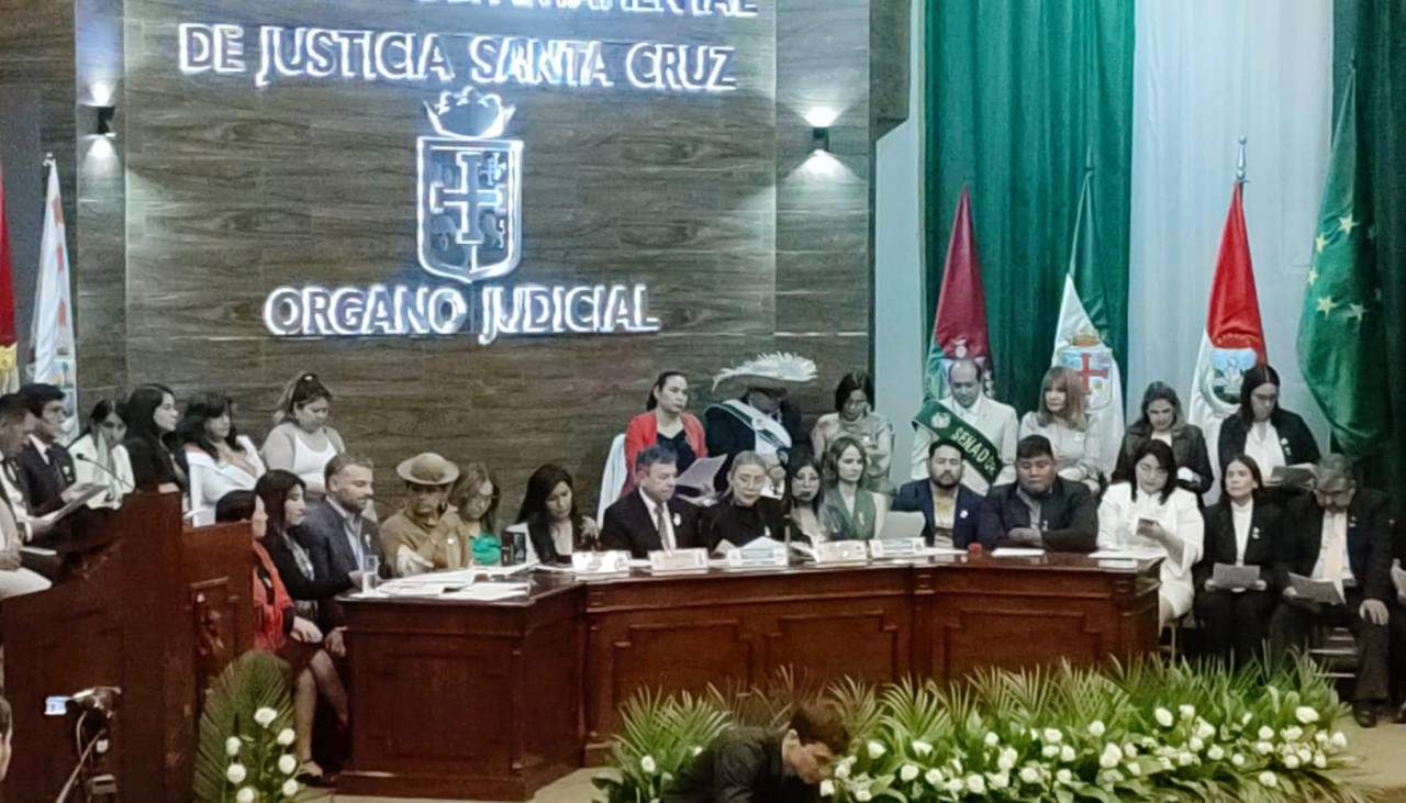 Senadora del PDC dice que Ávila representa al presidente y planteó que sesión sea dirigida por el vicepresidente del Senado