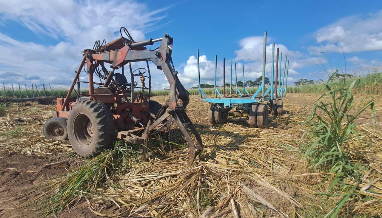 La falta de combustible para maquinaria pone en riesgo la zafra, advierten productores