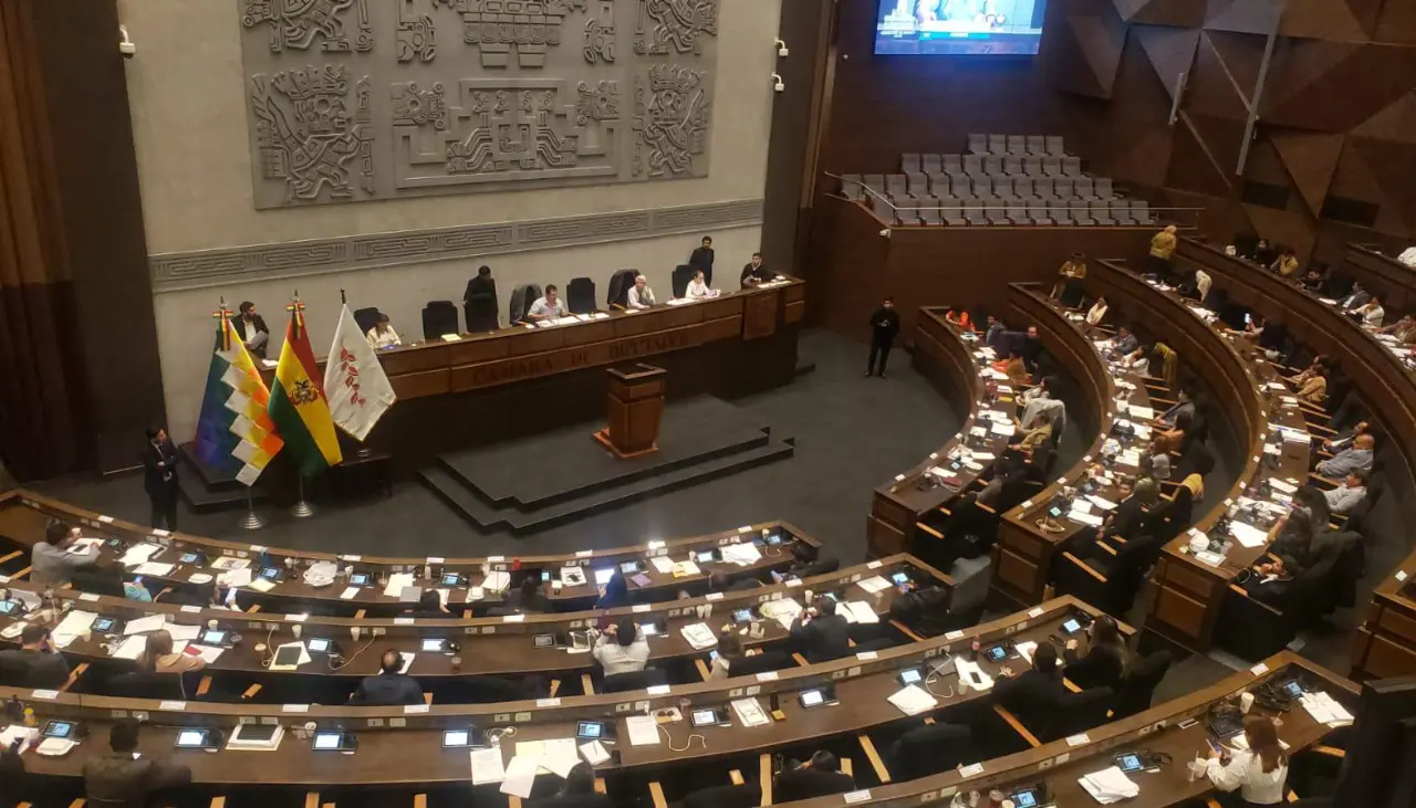 Crédito de $us 550 millones es para pagar la deudas que dejo Arce y algunos proyectos en salud, señala diputado