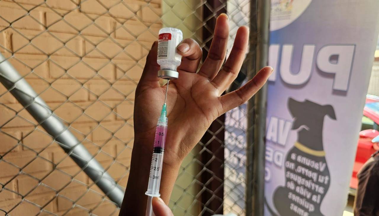 Sedes Santa Cruz anuncia la campaña de vacunación antirrábica este 29 y 30 de noviembre