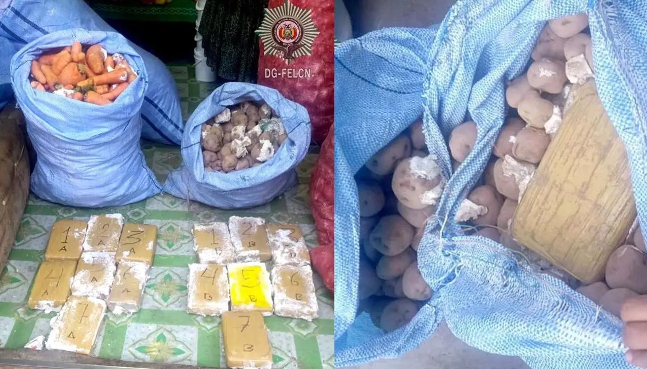 Hallan paquetes de marihuana ocultas entre zanahorias y papas