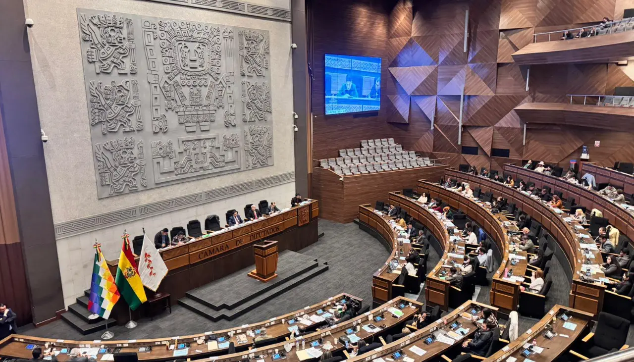 Cámara de Diputados posterga la designación de vocales electorales de La Paz