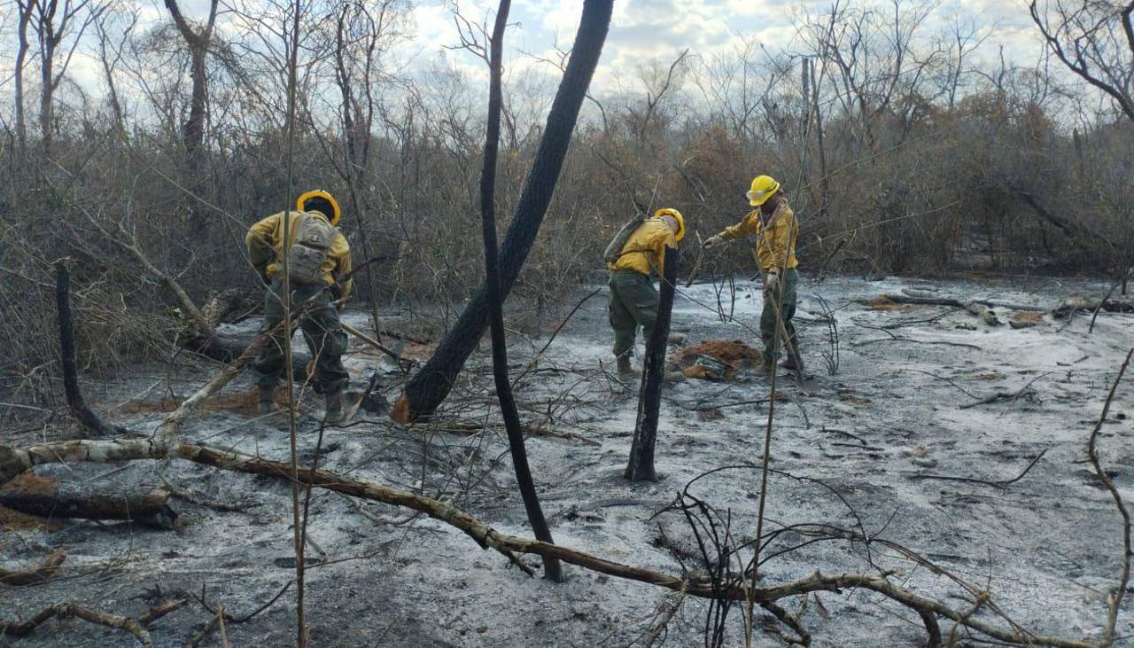 Santa Cruz: Experto dice que ráfagas y las altas temperaturas generan “condiciones” para que los incendios se acentúen