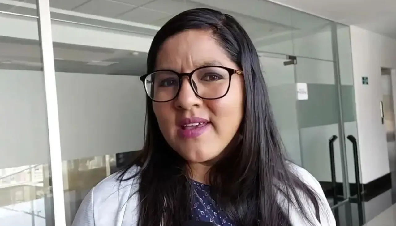 Diputada sobre tratamiento de contratos de litio en Diputados: “Se tienen que esperar un fallo del TCP”