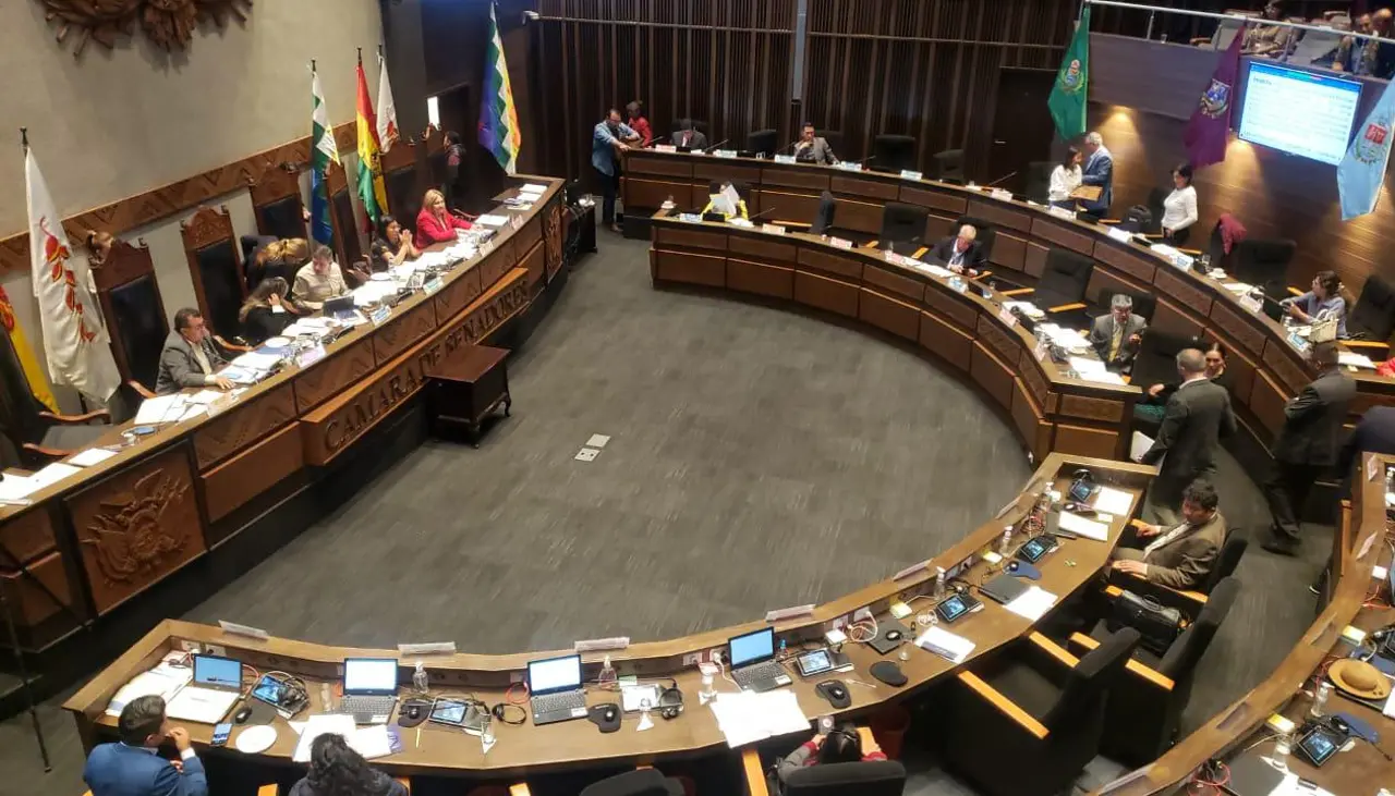 Cámara de Senadores aprueba el proyecto de ley para las elecciones subnacionales y lo remite a Diputados