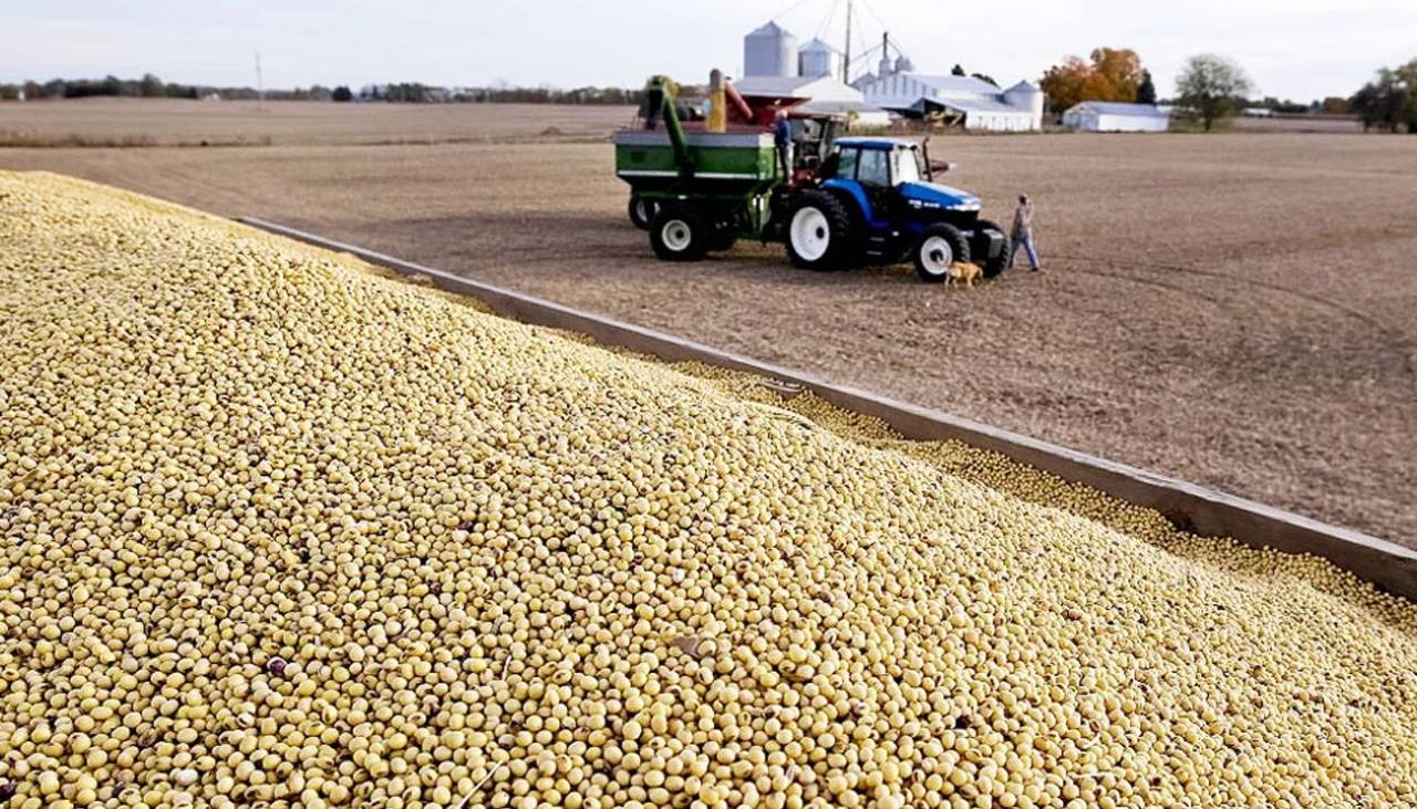 “La crisis no es un anuncio, es una realidad”: Producción agrícola bajó un 17% en 2024, según la CAO 