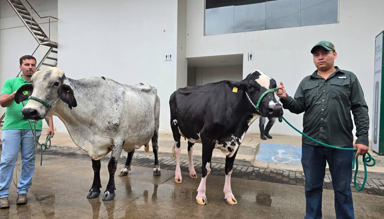 Agropecruz 2026 corona a las campeonas de la producción de leche de las razas Gyr y Girolando