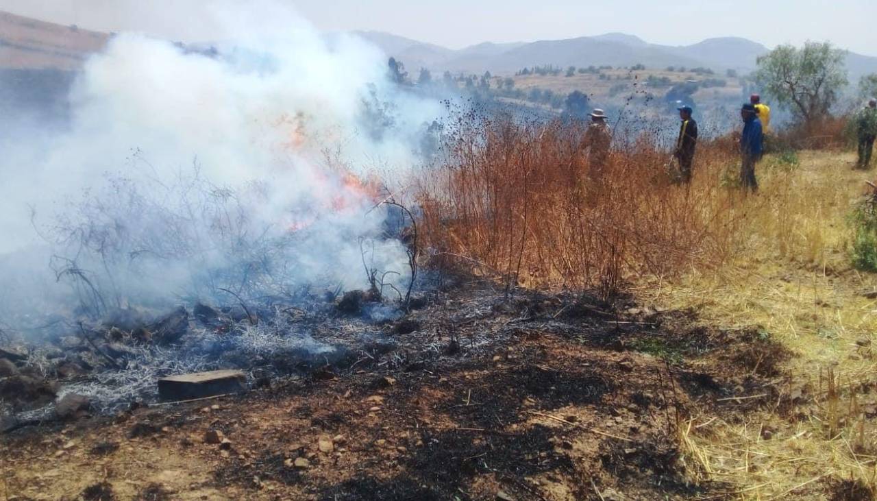 Endurecimiento de penas por incendios: Una comisión analizará el proyecto de ley del Ejecutivo