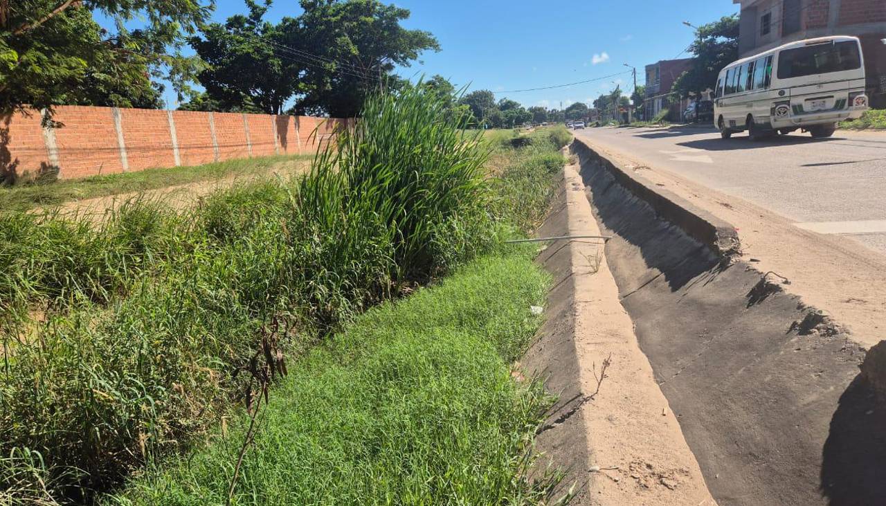 Vecinos denuncian que existe maleza en distintos barrios de la capital cruceña