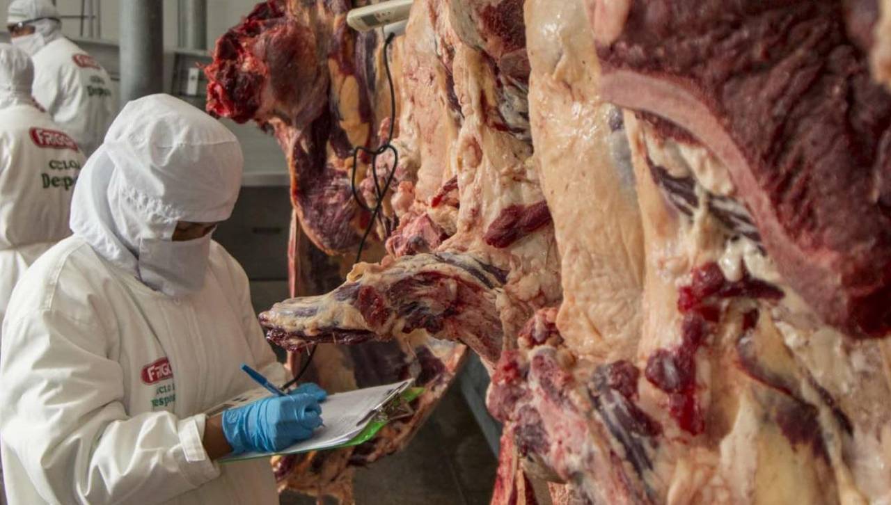 Gobierno ratifica autorización para exportar cerca de 35.000 toneladas de carne bovina para este año