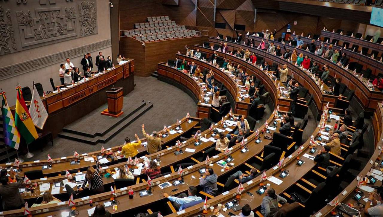 Diputados están convocados a sesionar este sábado para tratar el proyecto de ley de Estados de excepción