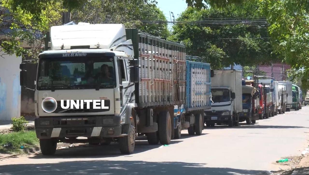 Crecen los reclamos por falta de diésel: “Al Gobierno no le creemos nada”, lamentan porcinocultores