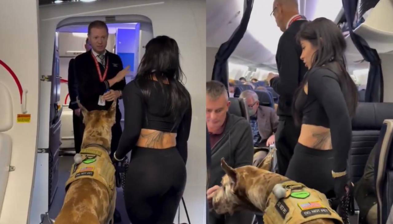 Video: Compró tres pasajes para viajar con su perro en un vuelo comercial