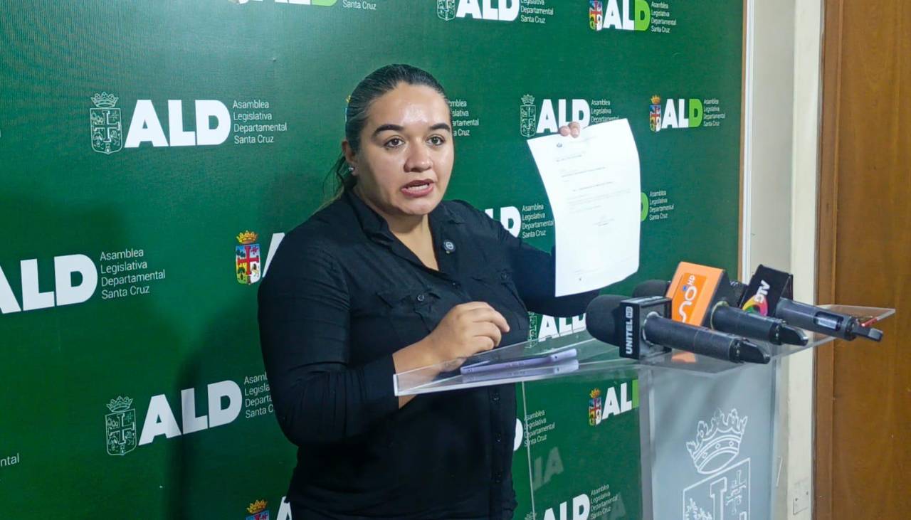 Comisión de la ALD cruceña inspeccionará el Puente Tarumá junto a la ABC