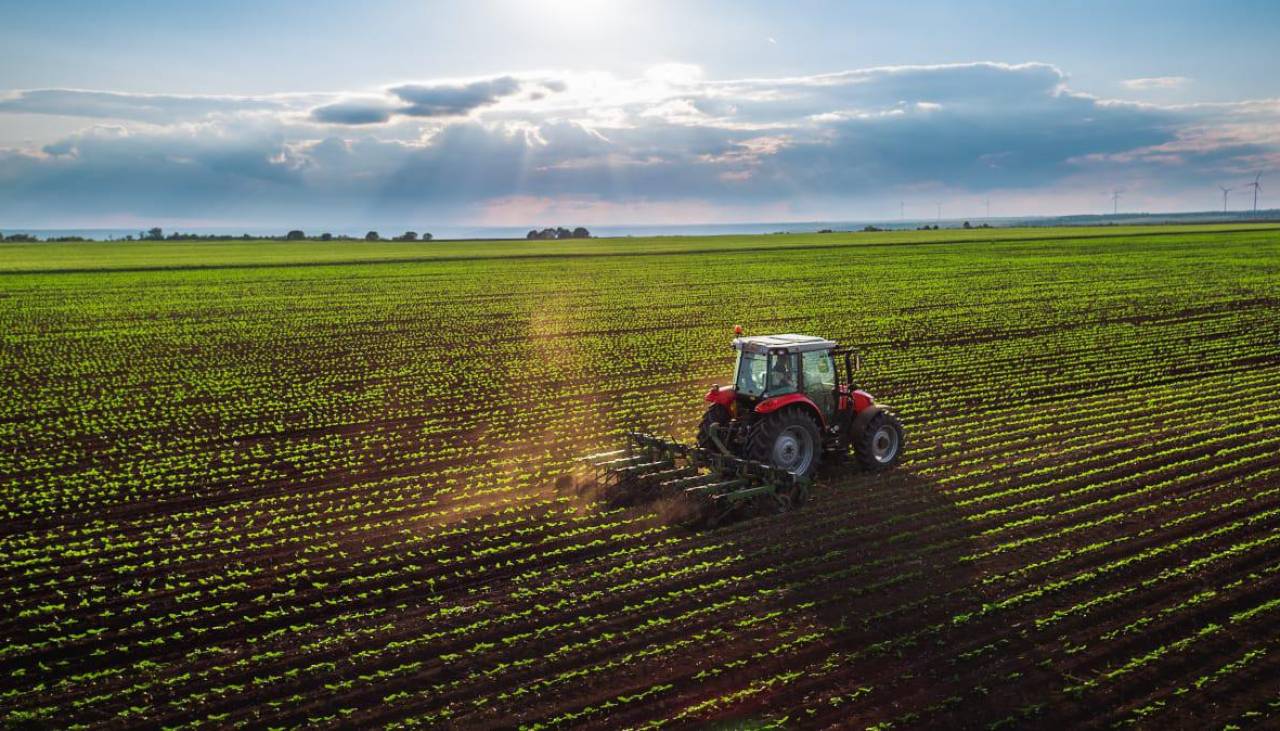 Arce ve al sector agropecuario como “fundamental” para la integración de Bolivia al Mercosur y al bloque Brics 