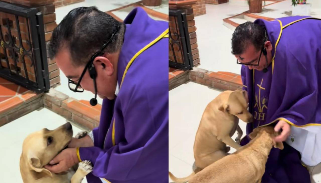 Sacerdote enternece al saludar a los perritos que lo esperan al finalizar la misa