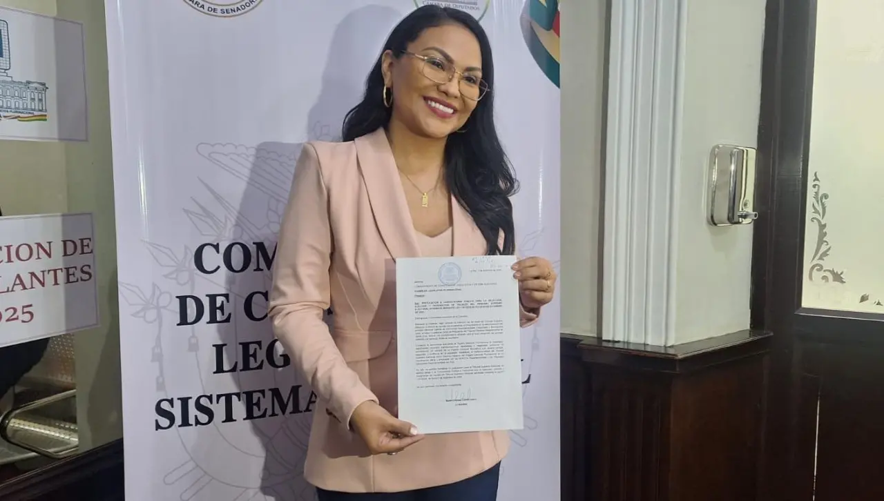 Presidenta del TED cruceño, María Cristina Claros, presenta su postulación a vocal del TSE