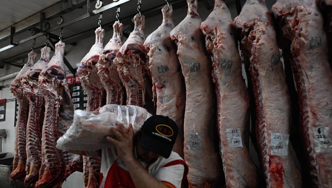 Falta de dólares: Argentina elimina impuestos a exportaciones de carne y granos hasta el 31 de octubre