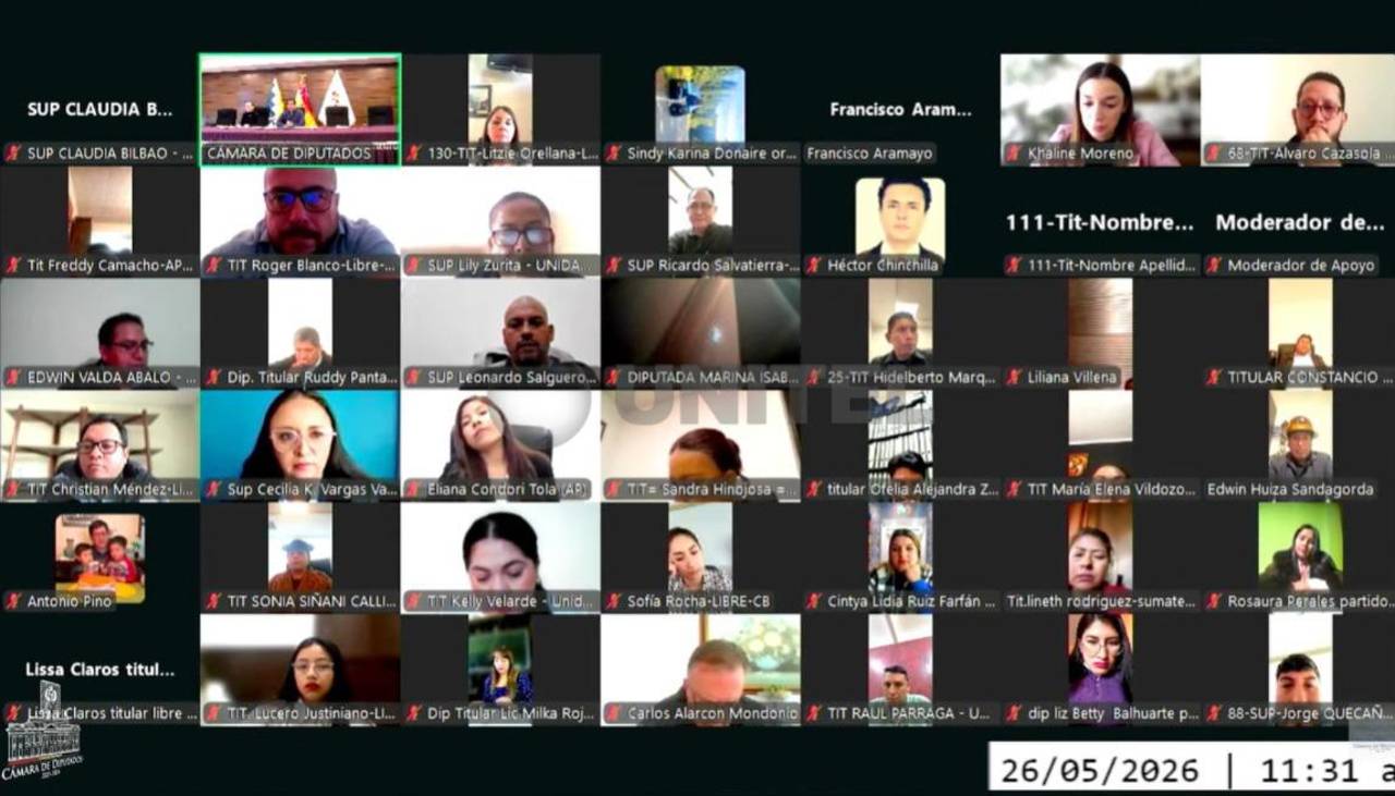 Sesión virtual clave: Diputados analizan la ley para simplificar el estado de excepción en medio de los conflictos