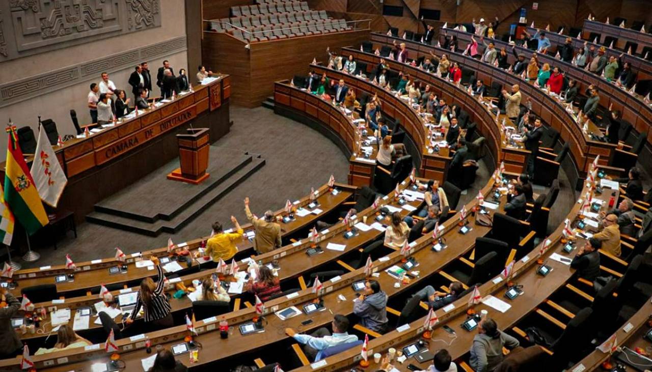 Diputados aprueban el tratamiento de la abrogación de la Ley 1720 con modificaciones