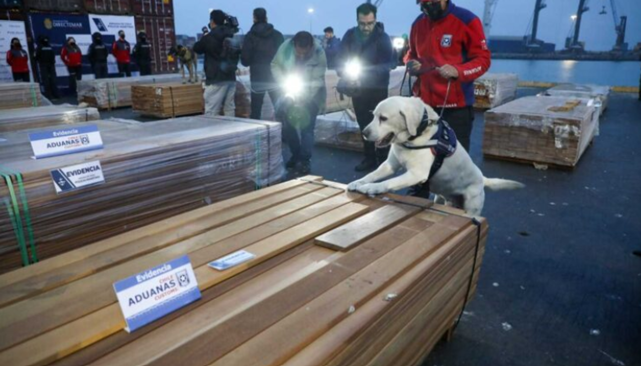 Incautan en Chile 108 toneladas de droga impregnada en madera; sospechan que la carga salió de Bolivia