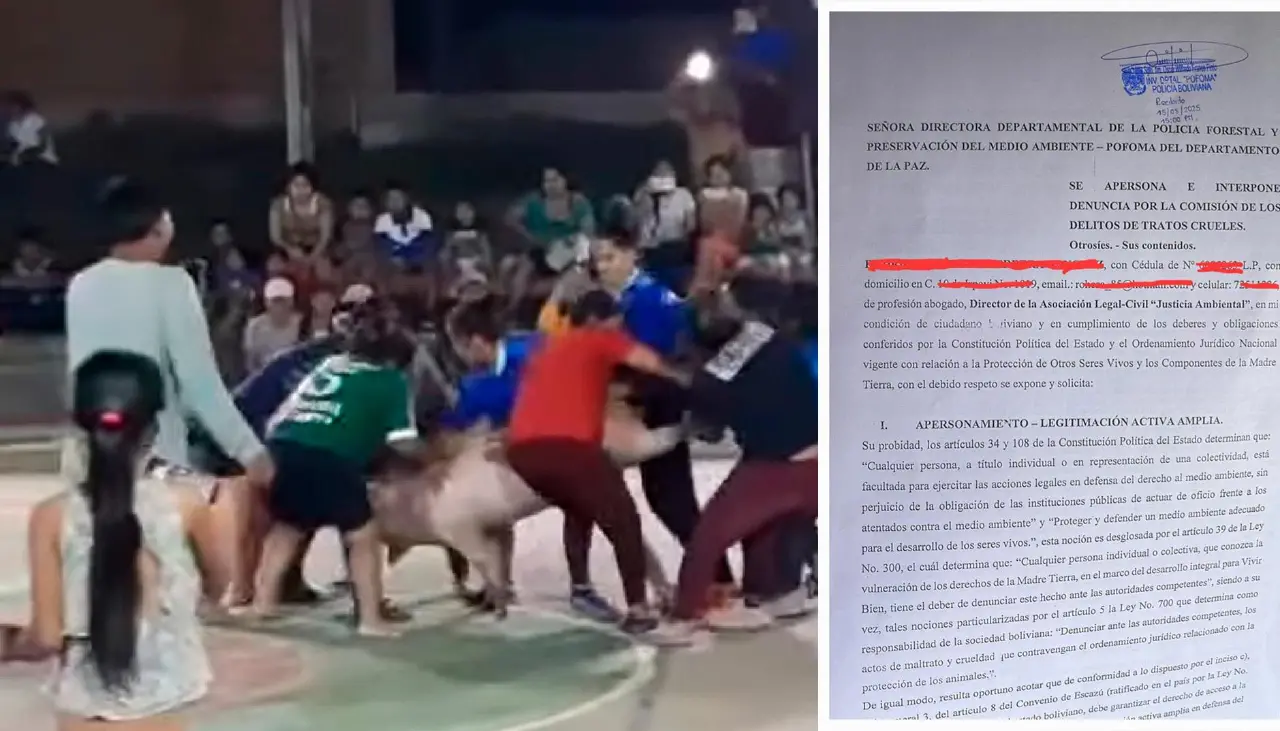 Presentan denuncia por maltrato animal contra autores del “cuchigol”, según activistas