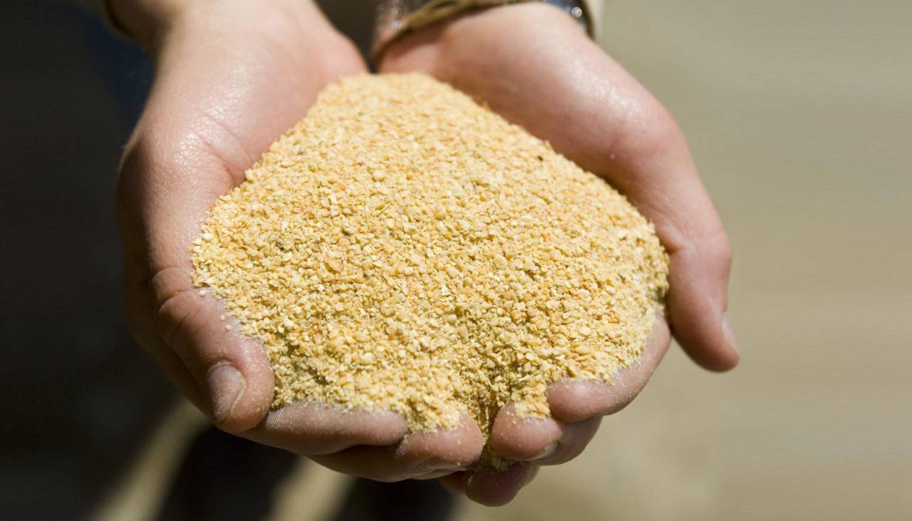 Exportación de derivados de la soya cayó en $us 245 millones al primer trimestre del año, según el INE